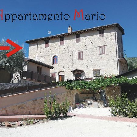 Appartamenti Cardinali Asís Exterior foto