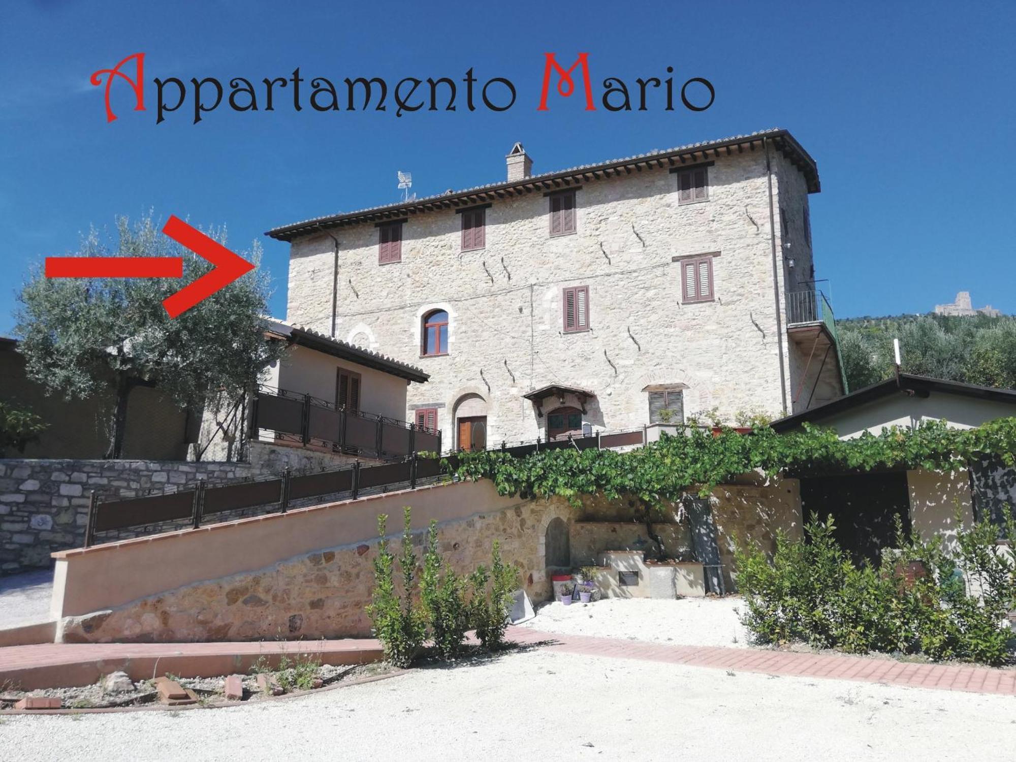 Appartamenti Cardinali Asís Exterior foto
