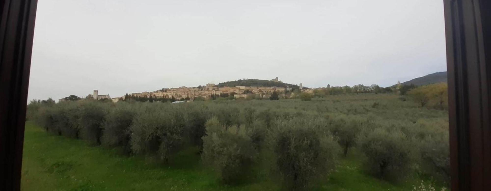 Appartamenti Cardinali Asís Exterior foto